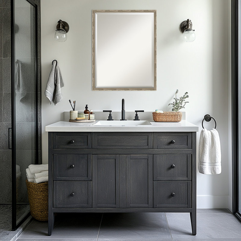 Miroir mural de salle de bain Mila, 23,5 po x 29,5 po, Argent foncé