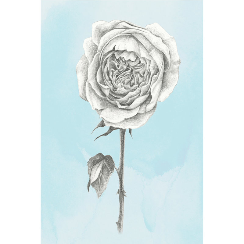 Graphite Rose I by June Erica Vess - Wrapped Canvas Print,  76cm H  x  51cm W  