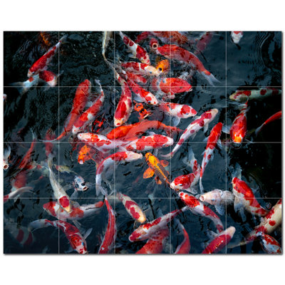 Corail photo 6 x 6