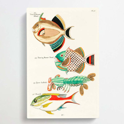 East Indies Fish & Lobster Illustrations Fol. 38 by Kuroda Seiki - Wrapped Canvas Painting