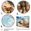 Allenah Beach Dune Caslte II sur toile-60640009-60640014