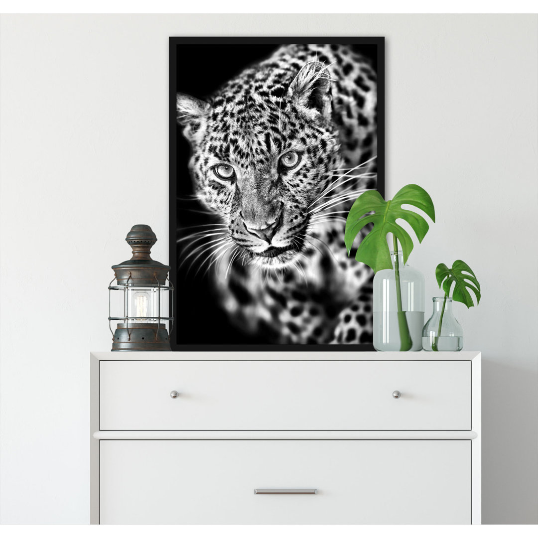 Gerahmtes Poster Anmutiger Leopard