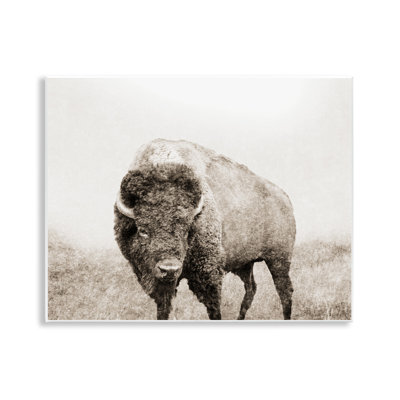 Bison patiné, art mural par Dan Meneely