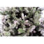 Lighted Artificial Christmas Tree-36456355