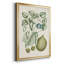 Buchoz Tropicals VIII, reproduction d'art encadrée-88436152-88436156