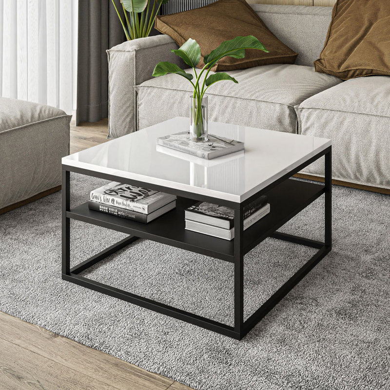 Apolonio Coffee Table with Storage Space, White/Black