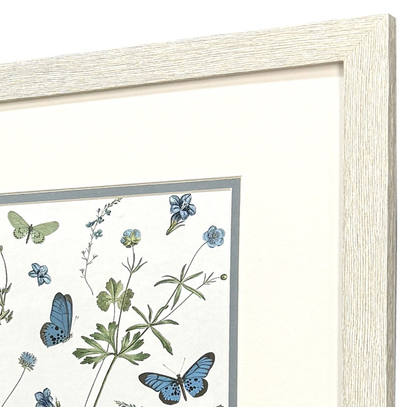 Botanical Page Framed Art