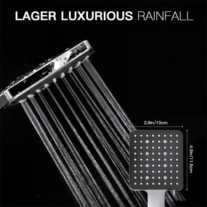Handheld Shower Head, Silver/Matte Black