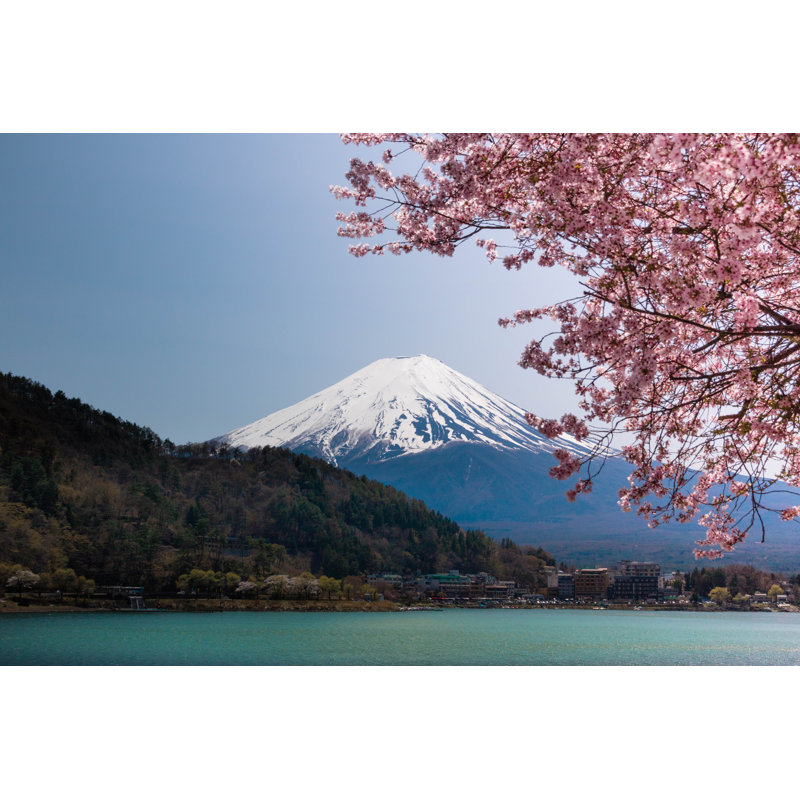 Mont, Fuji avec fleurs de cerisier - Photographie sur toile tendue, H 12 po x l 18 po