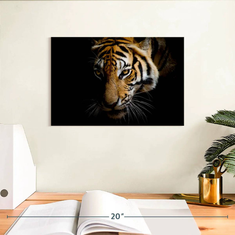 Brampt Sumatran Tiger, 8" H x 12" W