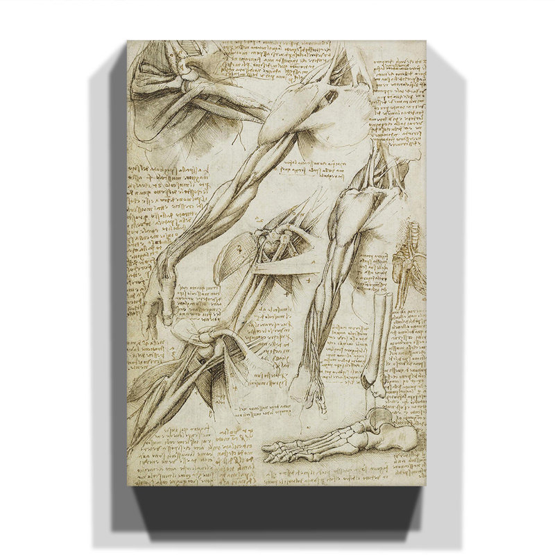 Leonardo Da Vinci - Wrapped Canvas Painting, 100cm H x 70cm W