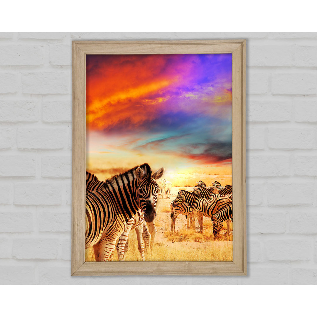 Poster Stunning Zebra Skies