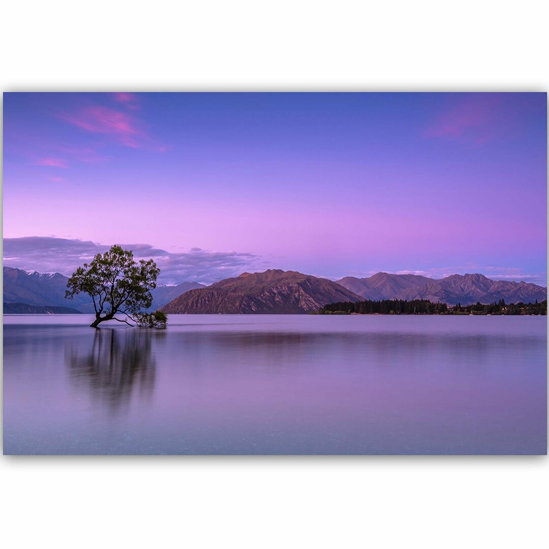 Leinwandbild Baum am See 1