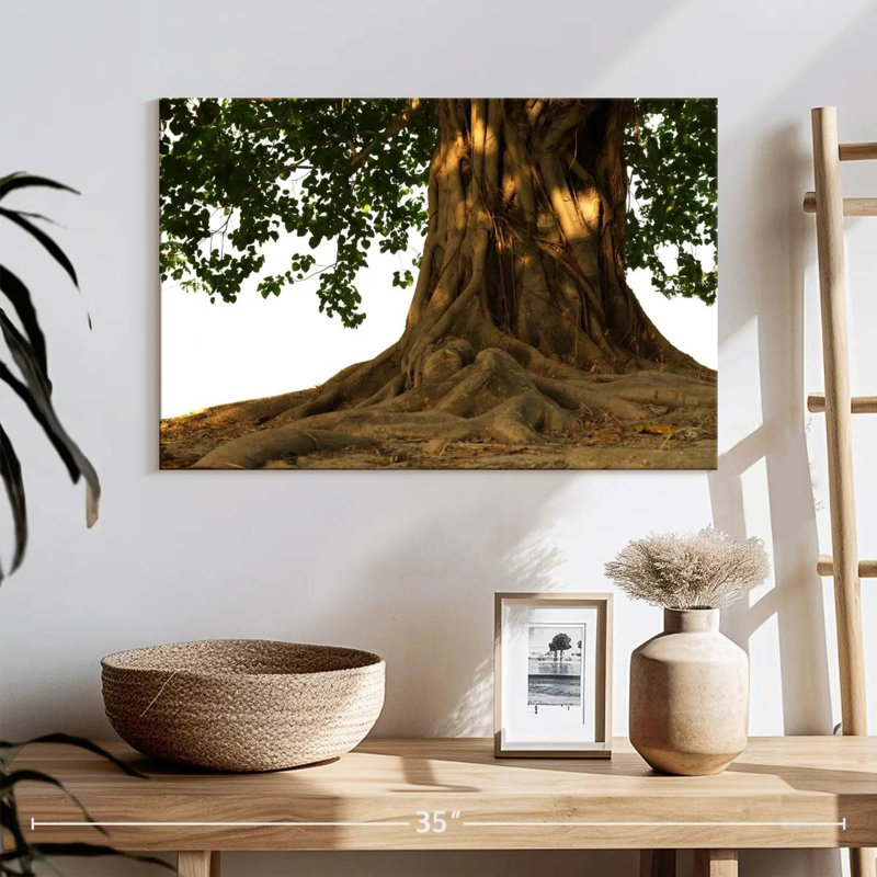 Harnek Bodhi Tree, 16" H x 24" W
