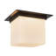 Mineral 11-in Brass Flush Mount-1490431930-1490431933