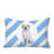 Bleuet des champs