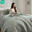 3 courtepointe à volants grand, sauge, microfibre de peau, garniture double couche, rembourrage de 150 g / m², tout confort, taies décoratives ultra-lisses assorties-130666335-130666336