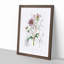 Purple Dahlia Flowers - Framed Print-55616694-55616698