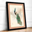 Peacock with Botanicals Japandi - Framed Print-661770077-661770078