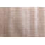 Smart Gem Area Rug in Sand-25306020