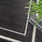 Nourison Essentials Black Ivory Indoor/Outdoor Area Rug-198866230