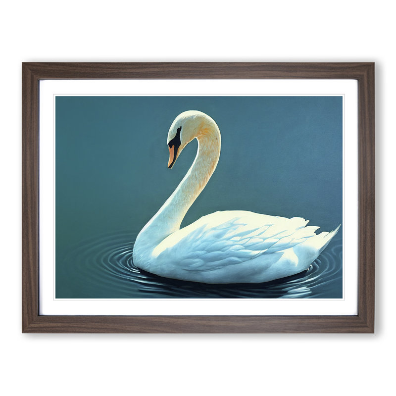 Luscious Swan - Single Picture Frame Print, 46cm H x 64cm W, Brown