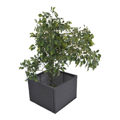 Planter Box