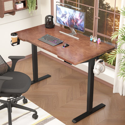 Bureau assis-debout électrique réglable en hauteur 48 x 24 pouces - Noyer