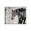 Prophet Print by Chelsea Art Studio-26926896-26926895