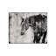 Prophet Print by Leftbank Art-26926895-26926896