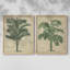 «Burlap Palm Silhouette III», reproduction encadrée de qualité supérieure - prête à être accrochée - aucun clou requis - aucun clou requis-1881880337-1881880351