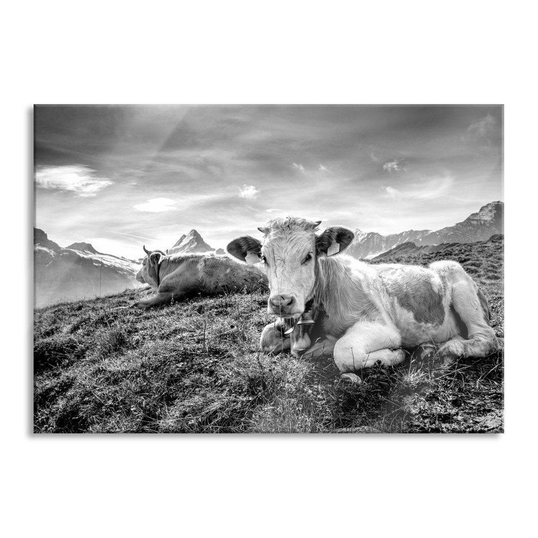 Ungerahmter Grafikdruck auf Glas "Simmental-Kühe vor den Schweizer Alpen"