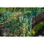 Danyell Wood Raised Garden Bed-1337017785