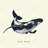 whale sketch - 32"x32" art on canvas