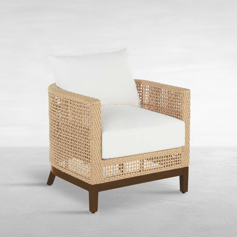 Peninsula Barrel Chair, Welt + Dream fill, Perigold Ishi Anthracite, Light Raffia/Natural Sandalwood