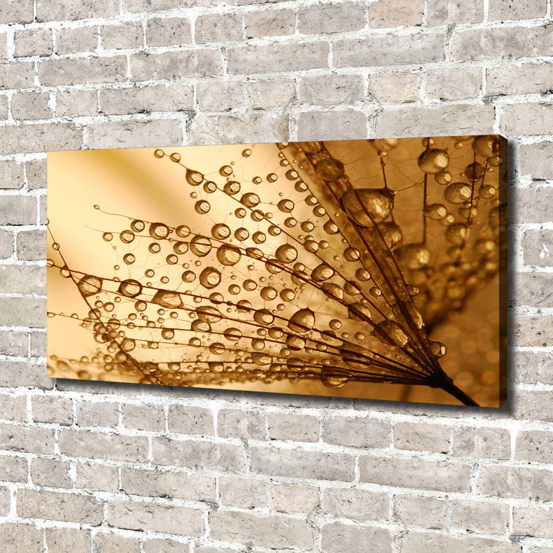 Dandelion Seeds - Wrapped Canvas Print