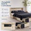 Lit escamotable Daisy de Night & Day Furniture avec matelas en mousse mémoire de 15 cm, format Queen, couleur crème.