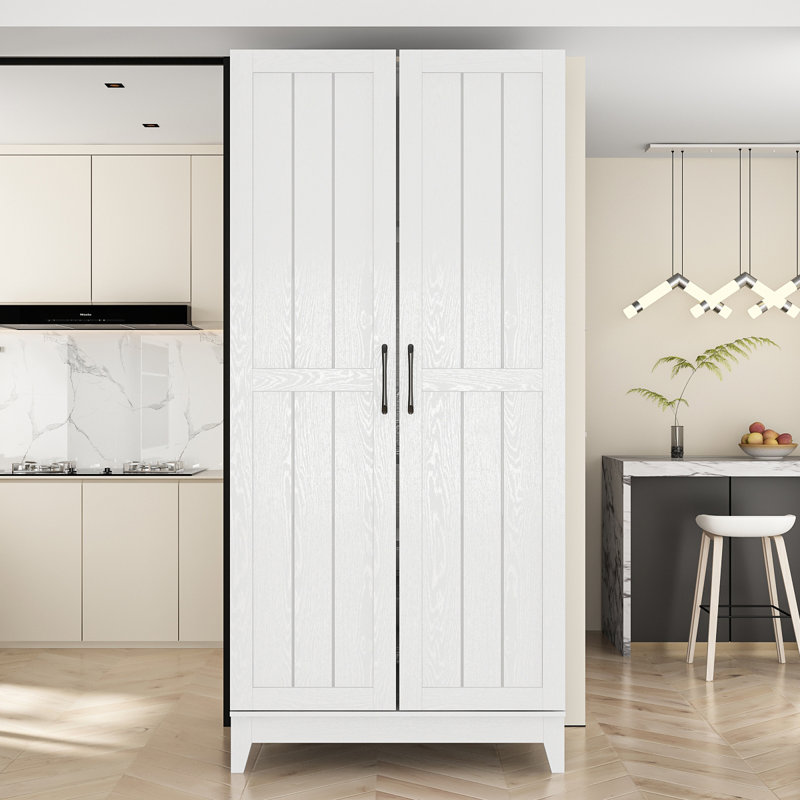 Minimalist 2-Door Storage Cabinet With Shelf & Drawer