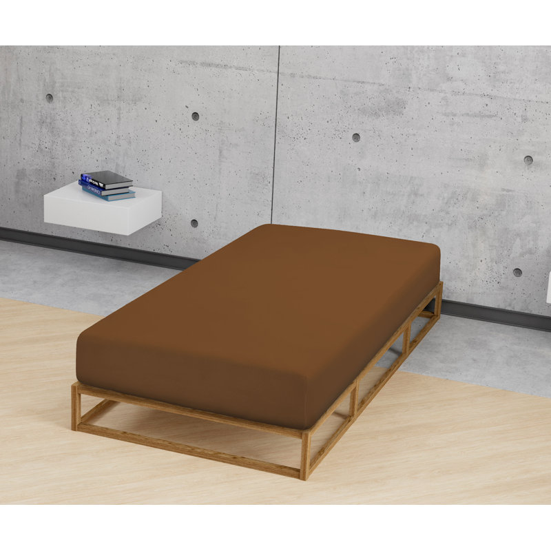 Fine Plain 165 Thread Count 100% Cotton Fitted Sheet, European Single (90 x 200 cm), Chocolate