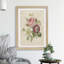 Pink Anemone Rose by Pierre-Joseph Redoute - Framed Print-48238298-48238296