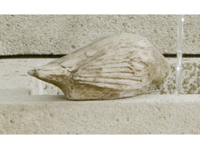 Solo Bird Garden Statue