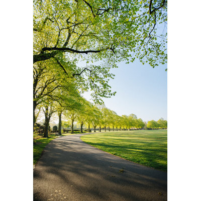 Uk Park at Sunrise by Ristoarnaudov