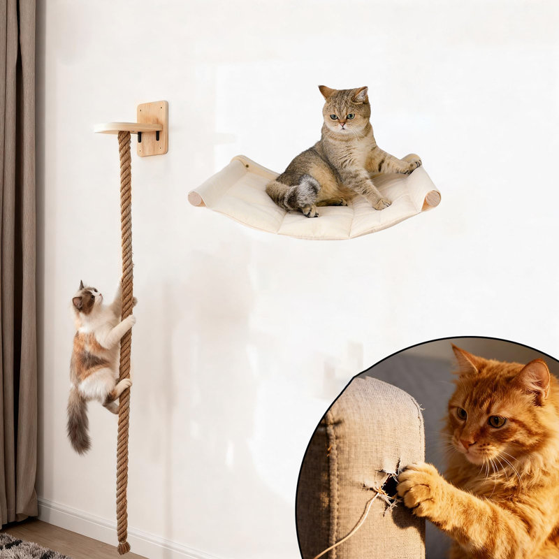 55" Cat Climbing Rope and Hammock Set