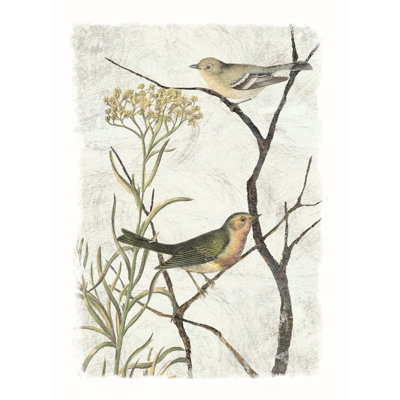 Art Prints