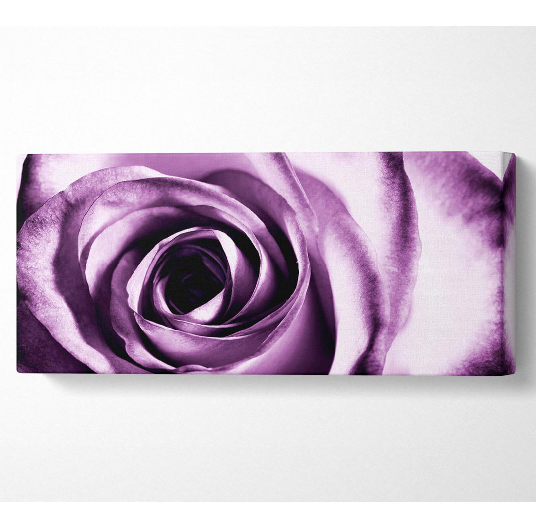 Purple Rose Delight - Kunstdrucke auf Segeltuch