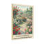 Paysage et nature sentier de jardin de roses avec des fleurs et des épines en fleurs-1226865400