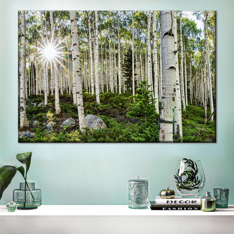 Aspen Forest Sunburst sur toile, H 34 po x l 51 po x P 1,25 po