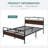 Aveana Platform Bed-1504581935-1504581931
