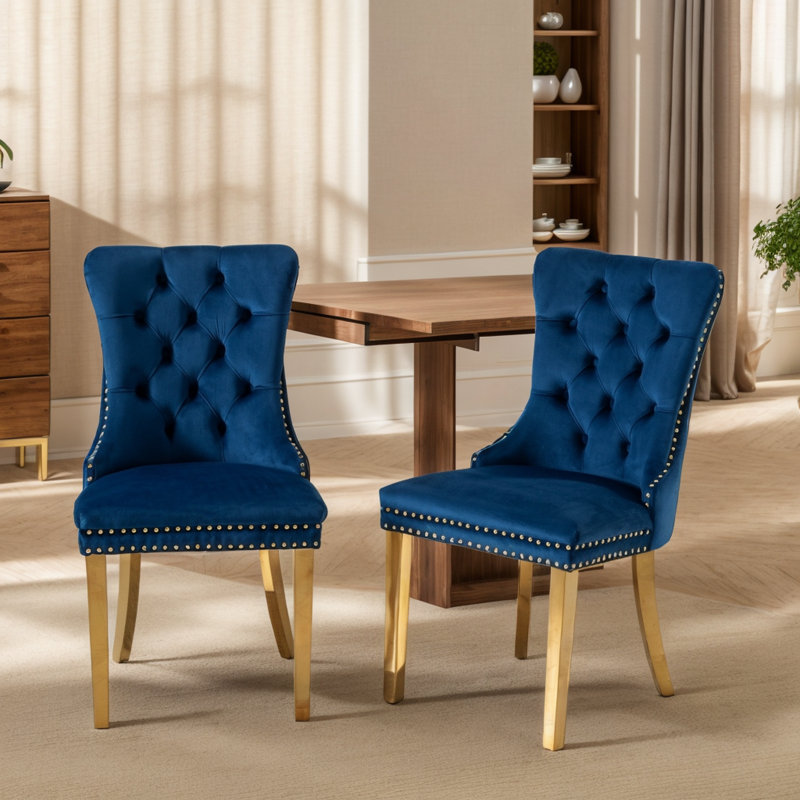 Modern Glam Velvet Upholstered Dining Chair with Pull Ring (Set of 2), Blue, Gold