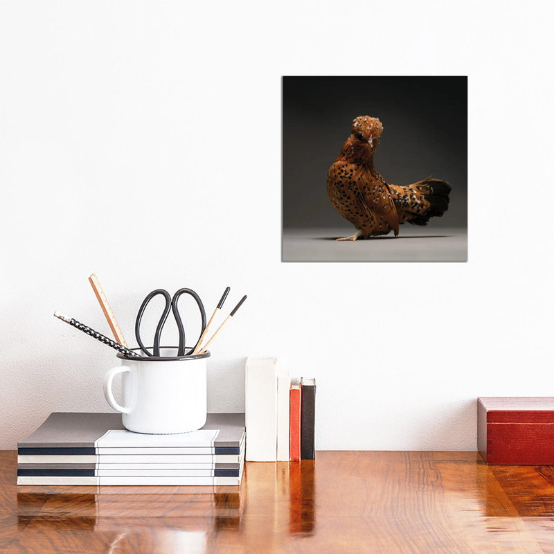 Barbu De Watermeal - Wrapped Canvas Print, 30.48 cm H x 30.48 cm W